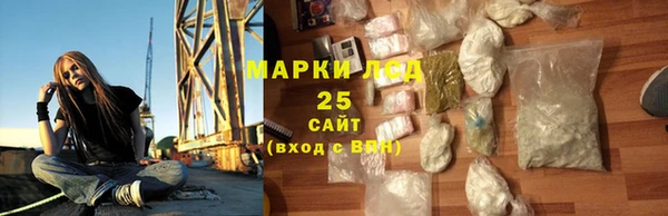 сатива Зеленокумск