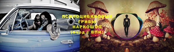 синтетический гашиш Приозерск