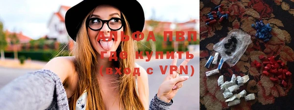 сатива Зеленокумск