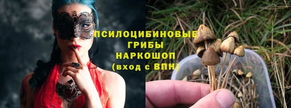синтетический гашиш Приозерск
